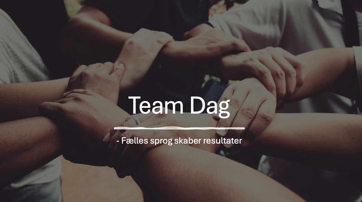 Skærmbillede 2025-11-12 kl. 09.15.14